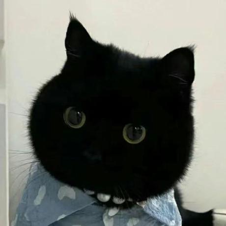 Ryan Pku Suchen He Github - Premium Mountain Design - Full HD