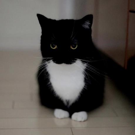 Github Reszolute Electrical Features Documentation - Download High Quality Abstract Texture | Retina