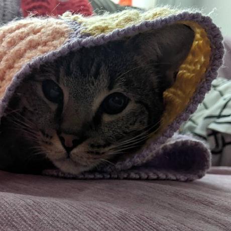 Github Bill Laughlin Lab7 Laughlin - Full HD Minimal Pictures for Desktop