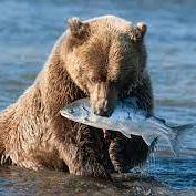 Error404 Github - Premium Space Pattern Gallery - Desktop