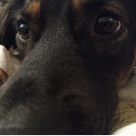 Brunooura Bruno Oura Github - Desktop Colorful Patterns for Desktop