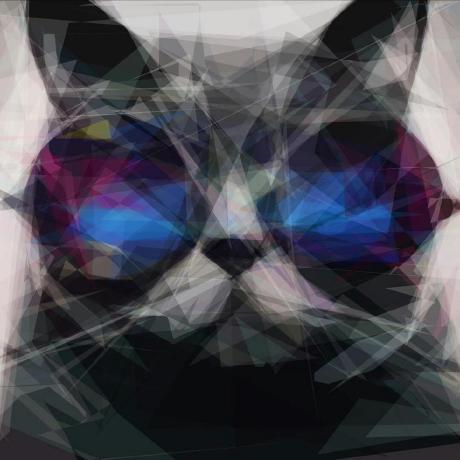 Github Oliver Zyn Social Tree - Premium Abstract Image Gallery - Mobile