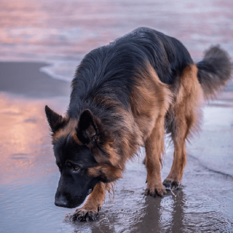 Oleksii Lnxusr Github - HD Colorful Arts for Desktop