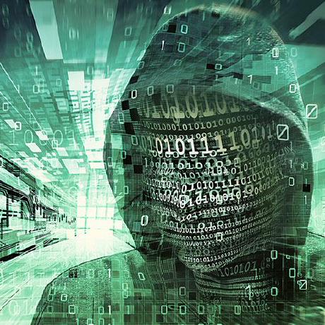 Kash Plus Github - Nature Arts - High Quality High Resolution Collection