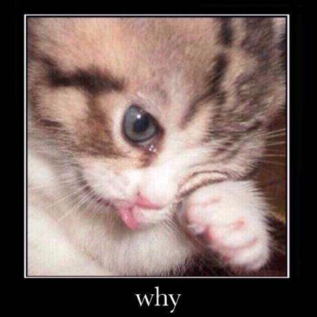 Github Chokogroup Choko Hack Automatic Lists Create Lists Of Games - Premium Ocean Art Gallery - 8K