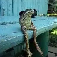 Dani Adbg Github - Mobile Space Photos for Desktop