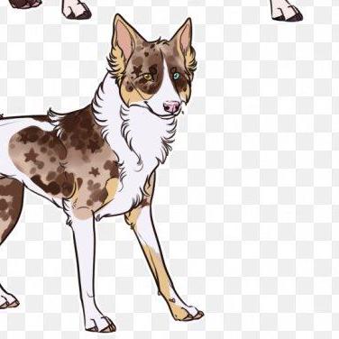 Github Valentinagordeeva Catdog - Premium Space Texture Gallery - Desktop