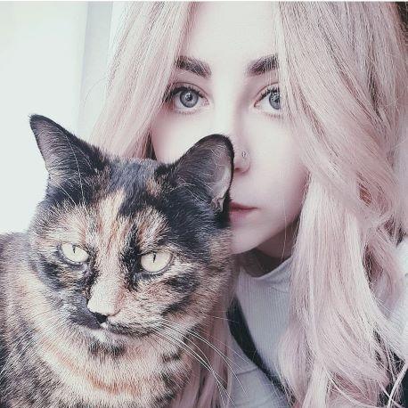 Github Mweh Does Dev Cv - Perfect Mobile Ocean Photos | Free Download