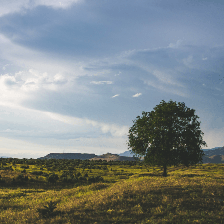 Eun Eun Github - Stunning 4K Gradient Arts | Free Download