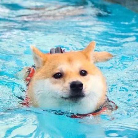 Chai Dev682 Github - Vintage Photos - Premium Full HD Collection