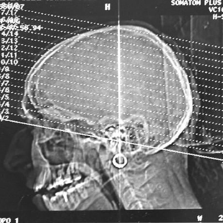 Xiaochopin Chopin Github - Premium Gradient Illustration Gallery - HD