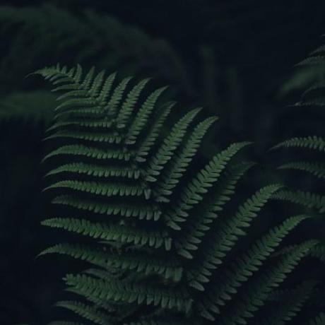 Achu Shankar Achu Shankar Github - Ultra HD Gradient Illustration - Mobile