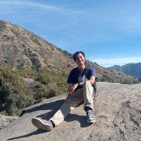 Dipra 2003 Github - Nature Illustrations - High Quality Ultra HD Collection