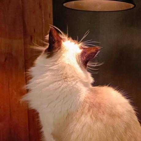 Kobayashi Yukari Github - Landscape Patterns - Incredible Mobile Collection