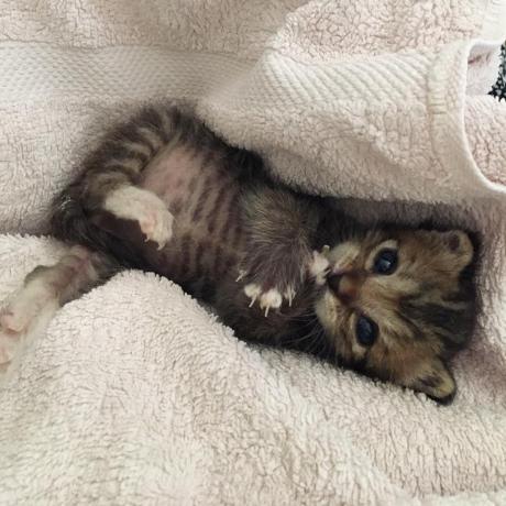 Yeowonkim Yeowon Kim Github - Modern 8K Nature Textures | Free Download