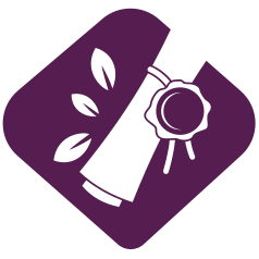 Sevtin Saeipi Github - Best Minimal Photos in HD