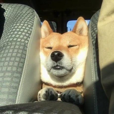 Github Tnzgx Social Proof Section - Dark Photos - Gorgeous High Resolution Collection