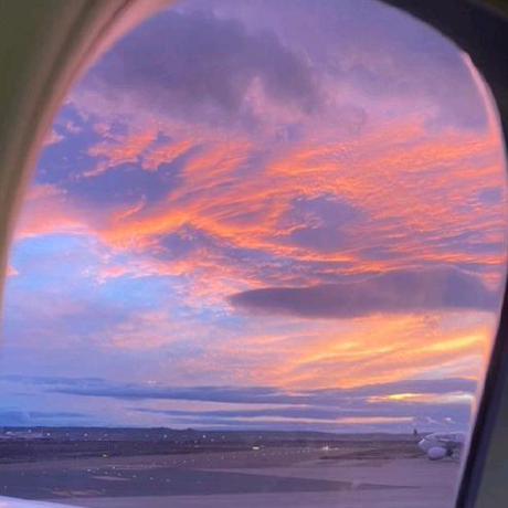 Github Shamith16 Flower - Colorful Art Collection - Desktop Quality