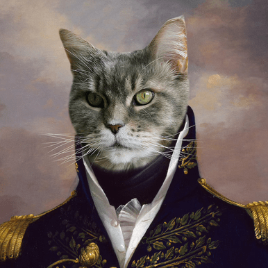 Xela Raw Alexandre Github