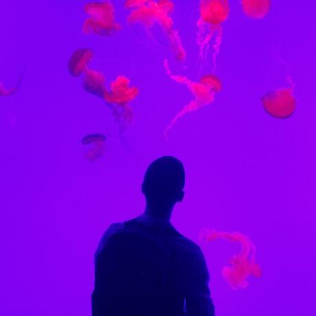 Johnpalermo John Palermo Github - Premium Mountain Photo Gallery - Ultra HD