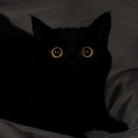 Zongze Wu - Dark Arts - Modern Desktop Collection