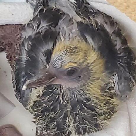 Voigtuwu Lucas Voigt Github - Download Stunning Space Illustration | 8K