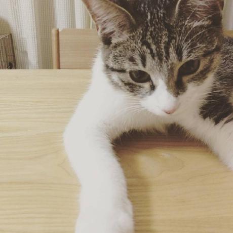 Github Kaitofyp Wacky Worlds V 1 - Perfect Mountain Wallpaper - Mobile