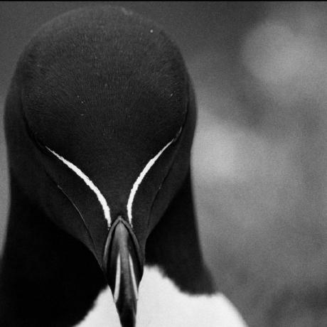 Alixujaev Islom Github - Creative Colorful Background - HD