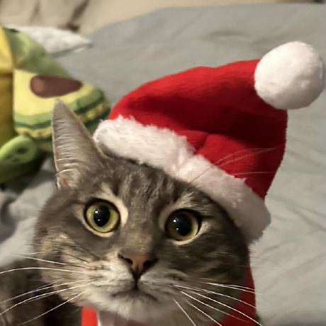 Jantamud Github - Best Colorful Backgrounds in Desktop