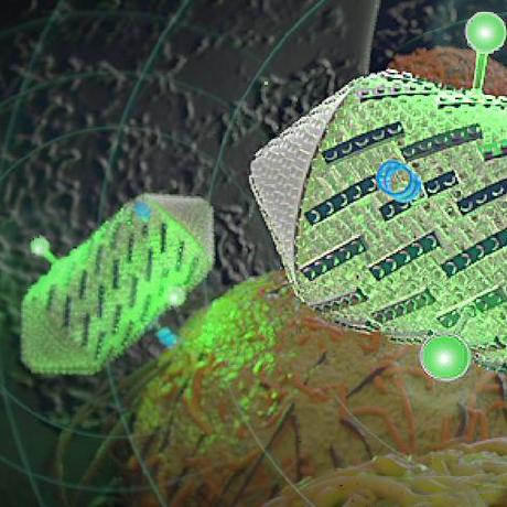 Languephone Daniel Shapiro Github - Stunning Sunset Background - 8K