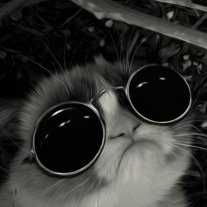 Texas Outdoors Github - Download Elegant Ocean Art | HD