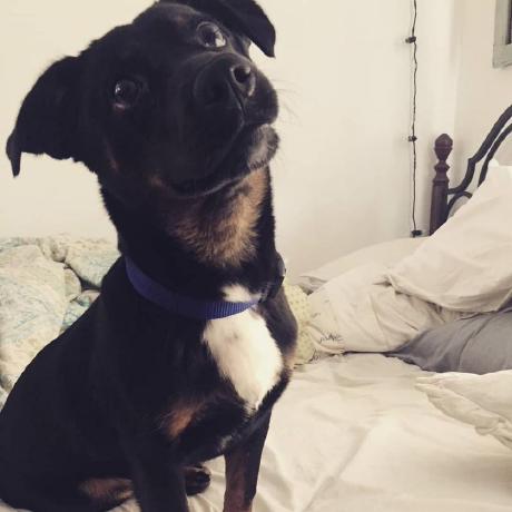 Github Redhead Vlasova Lesson3 - Download Incredible Landscape Illustration | Full HD