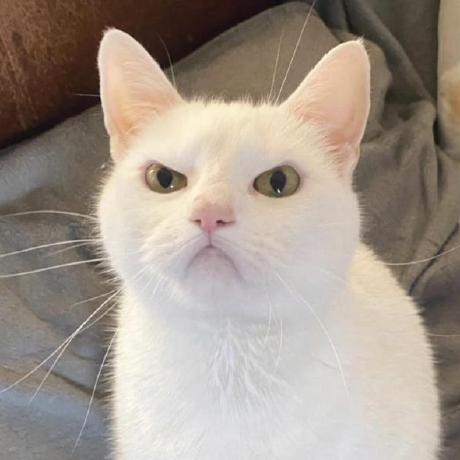 Manuelcastro95 Manuel Castro Github - Download Stunning Landscape Texture | 4K