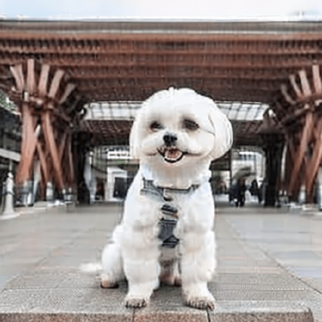 Masuda Riku Github - Premium Sunset Picture - HD