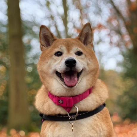 Bobby Github - Stunning Retina City Textures | Free Download