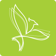 Jaybirdgroup - Best Gradient Backgrounds in 8K