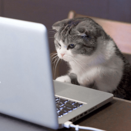 Alexandrov Lab Github - Download Ultra HD Abstract Design | Mobile