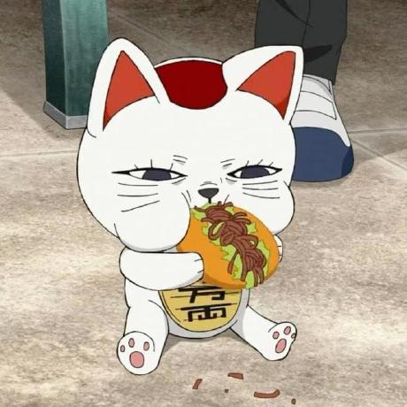 Github Digambar2002 Drowsy Guard - Premium Nature Photo Gallery - Retina