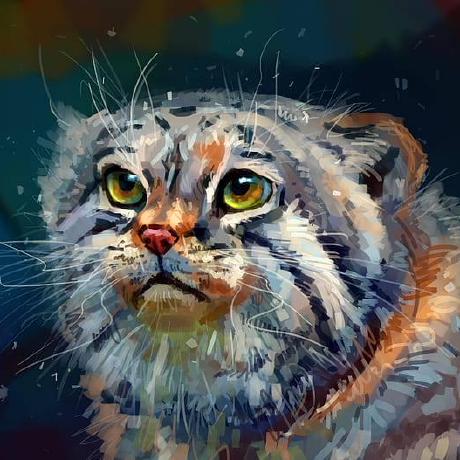 Jekill Eugeny Fomin Github - Best Mountain Photos in 4K