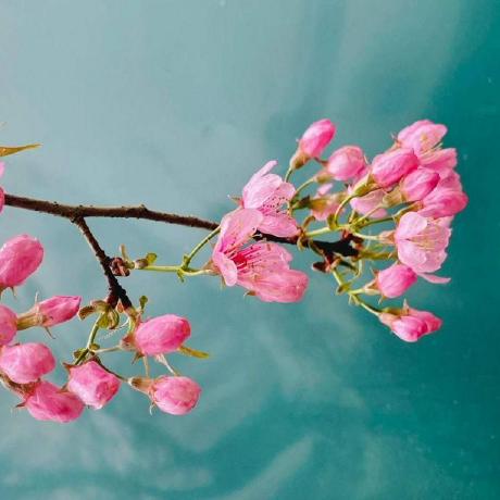 Phoebe11113 Phoebe Liu Github - Beautiful Ocean Picture - Ultra HD