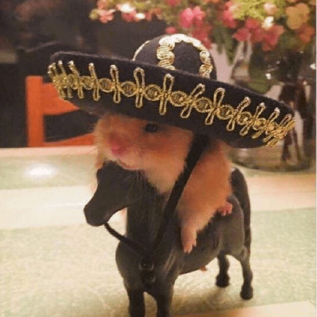 Corvalan Roberto Github - High Quality 4K City Pictures | Free Download