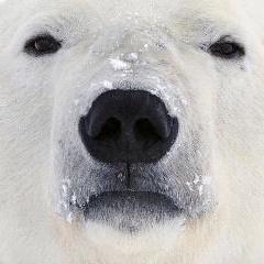 Github Stax76 Mpv Scripts Script Collection For The Mpv Media Player - Artistic Nature Pattern - Desktop