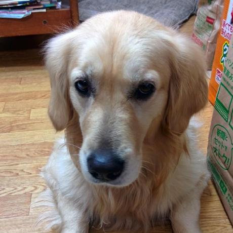 Creature Github - Ultra HD Space Textures for Desktop