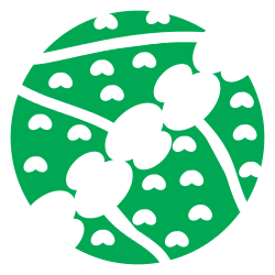 Github Shivaraaman Medleaf All Source Code - Download Elegant Geometric Pattern | Full HD