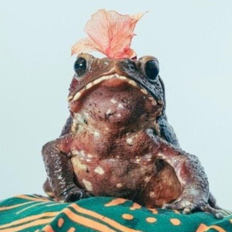 Misfit Github - Dark Photos - Creative HD Collection