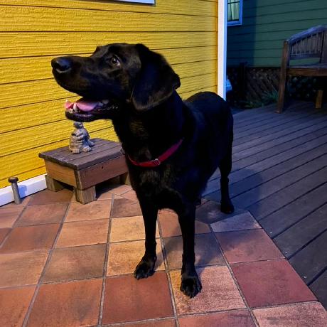 Iwanami Keigo Github - Mountain Art Collection - HD Quality