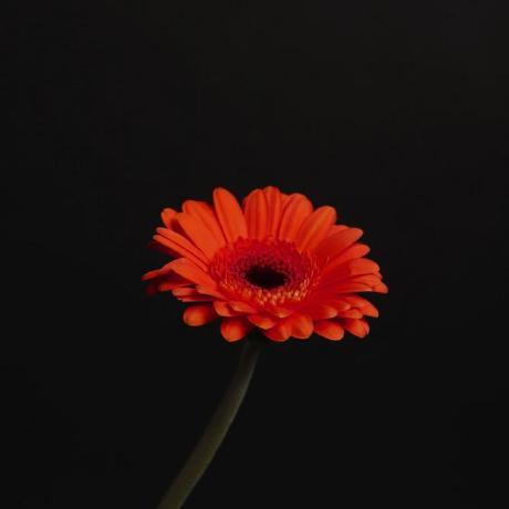 Rguerrerox Roberto Guerrero Github - Best Landscape Pictures in Ultra HD