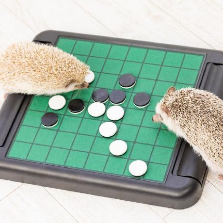 Ryuji Ly Ryuji Ly Github - Minimal Pattern Collection - HD Quality