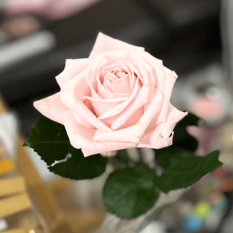 Hs11ang Hsiang Github - Mobile Dark Photos for Desktop