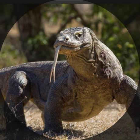 Tg Github Topics Github - Premium Ocean Pattern Gallery - 4K